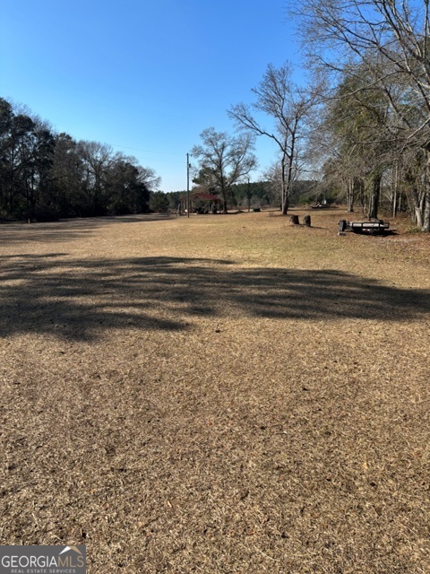 592 Clifford Meeks Road Collins, GA 30421 - Photo 27 of 52 a view of yard with large trees