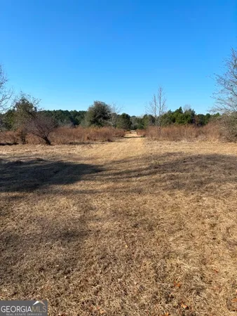 a view of beach with large trees