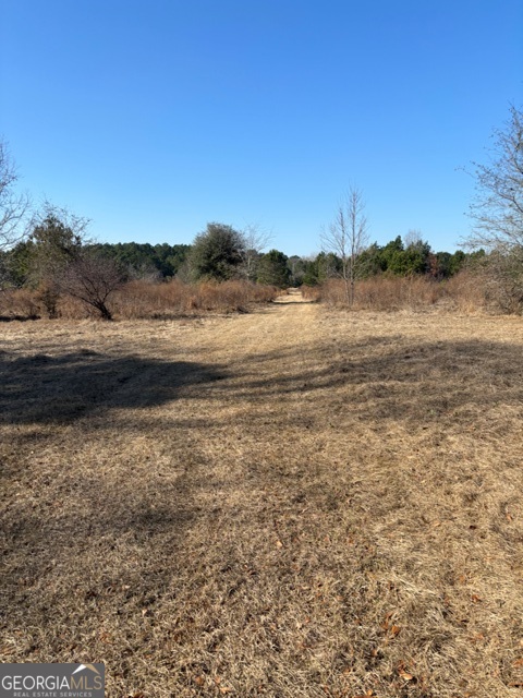 592 Clifford Meeks Road Collins, GA 30421 - Photo 30 of 52 a view of lake view and mountain
