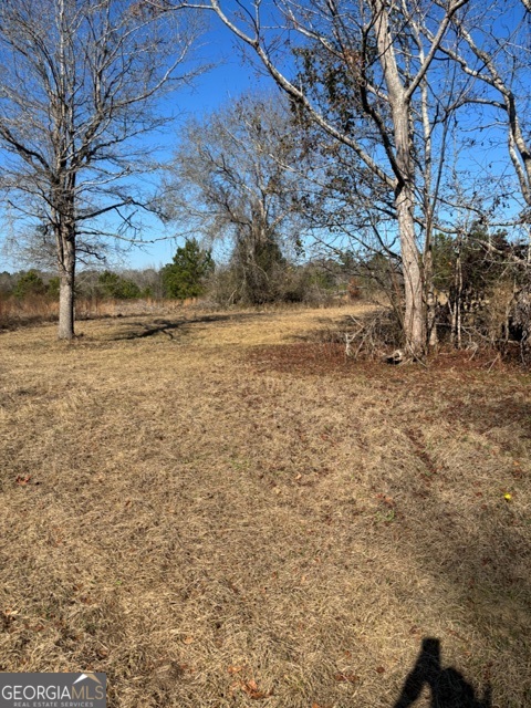 592 Clifford Meeks Road Collins, GA 30421 - Photo 31 of 52 a view of beach with large trees