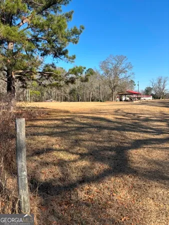 a view of dirt yard with a large tree