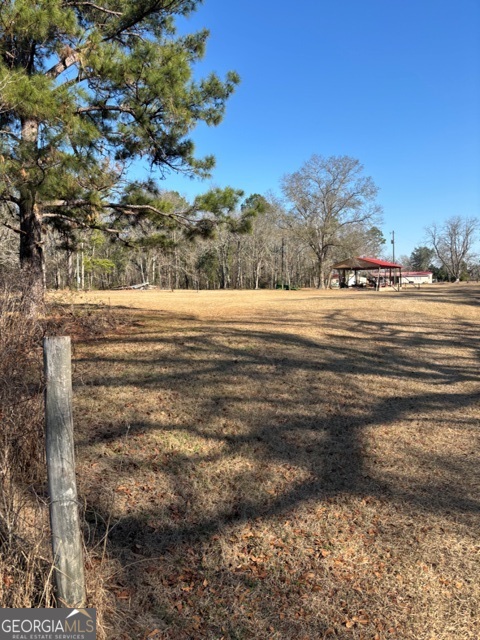592 Clifford Meeks Road Collins, GA 30421 - Photo 32 of 52 a view of a yard with an outdoor space