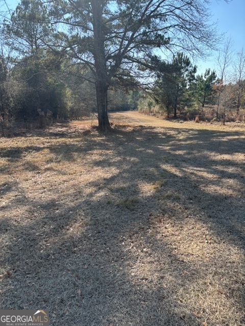 592 Clifford Meeks Road Collins, GA 30421 - Photo 33 of 52 a view of dirt yard with a large tree
