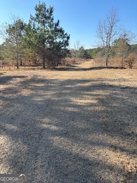 592 Clifford Meeks Road Collins, GA 30421 - Photo 34 of 52