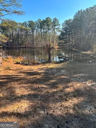 a view of a backyard of the house