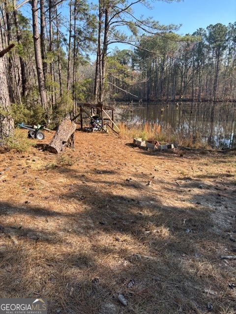 592 Clifford Meeks Road Collins, GA 30421 - Photo 36 of 52 a view of a lake view