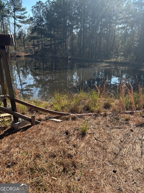 592 Clifford Meeks Road Collins, GA 30421 - Photo 39 of 52 a view of a small yard