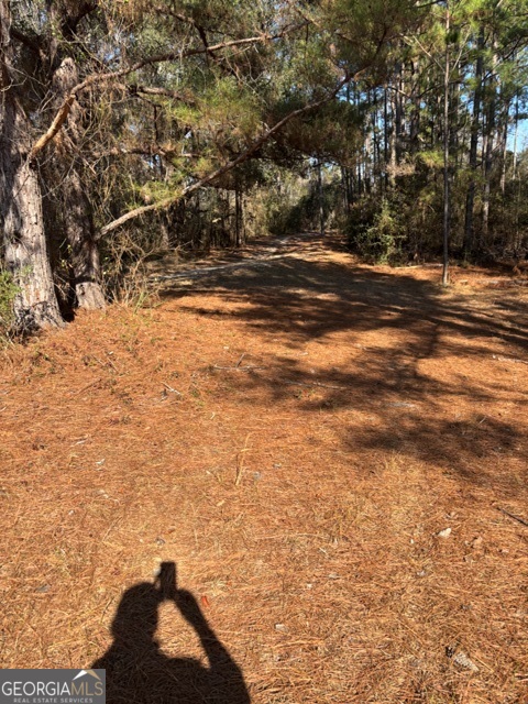 592 Clifford Meeks Road Collins, GA 30421 - Photo 40 of 52 a view of outdoor space and yard