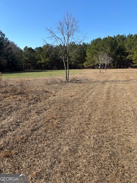 592 Clifford Meeks Road Collins, GA 30421 - Photo 41 of 52 a view of a lake with a yard