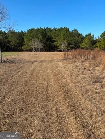 a view of a yard with trees in the background