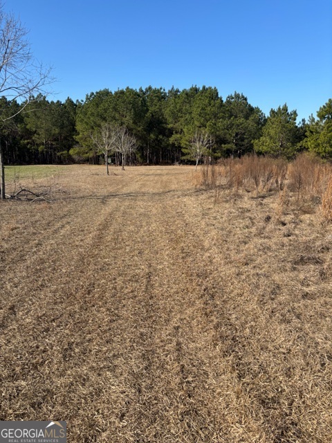 592 Clifford Meeks Road Collins, GA 30421 - Photo 42 of 52 a view of mountain with lake view