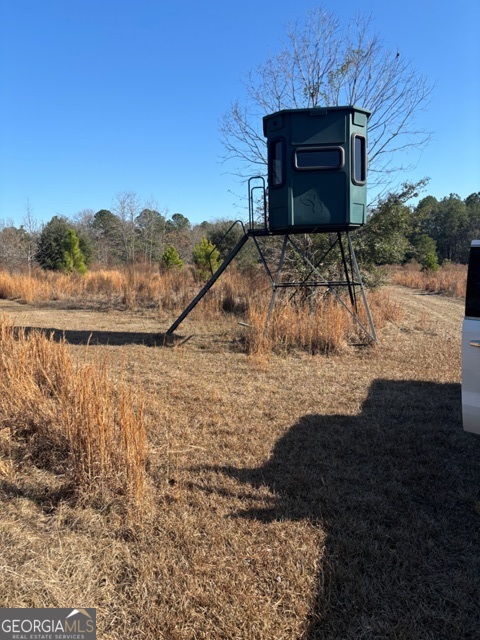 592 Clifford Meeks Road Collins, GA 30421 - Photo 44 of 52 a view of a house with a yard