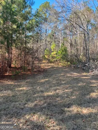 a view of a backyard of a house