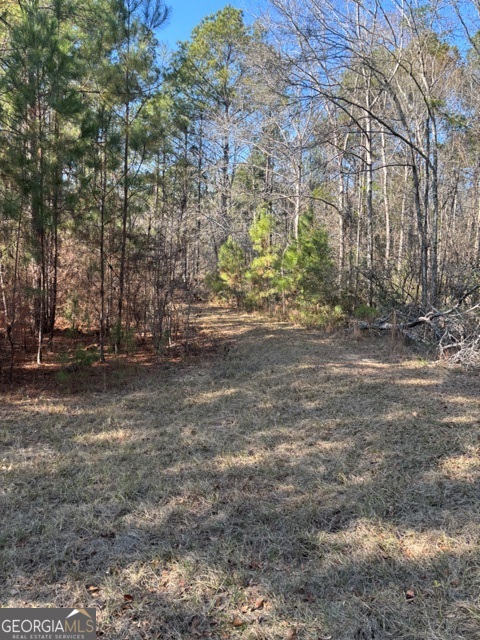 592 Clifford Meeks Road Collins, GA 30421 - Photo 46 of 52 a view of dirt yard with a large tree