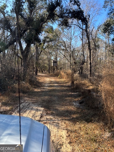 592 Clifford Meeks Road Collins, GA 30421 - Photo 47 of 52