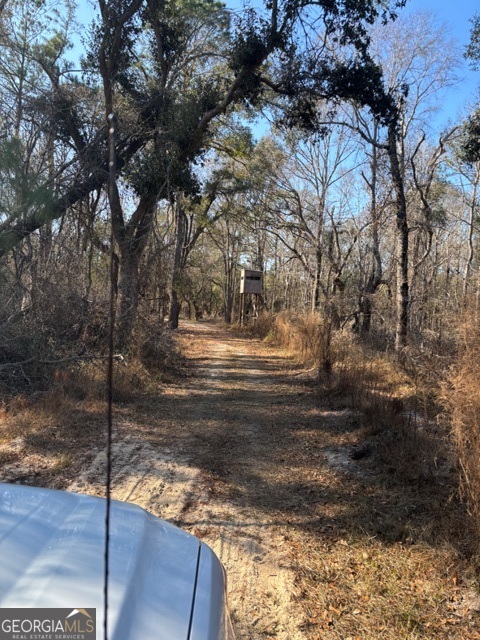 592 Clifford Meeks Road Collins, GA 30421 - Photo 48 of 52 a backyard of a house with lots of green space