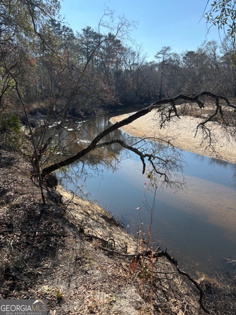 592 Clifford Meeks Road Collins, GA 30421 - Photo 50 of 52 a view of a backyard of a house
