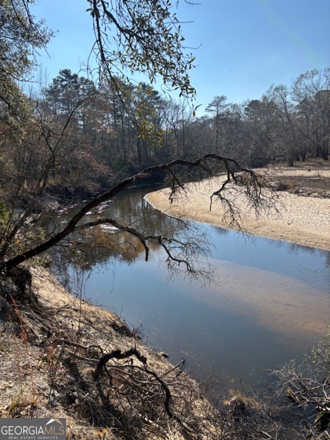 592 Clifford Meeks Road Collins, GA 30421 - Photo 51 of 52 a view of tall trees and outdoor space