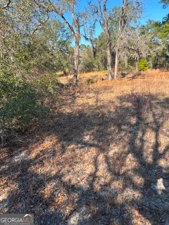 $1,181,424 | 592 Clifford Meeks Road, Collins, GA 30421