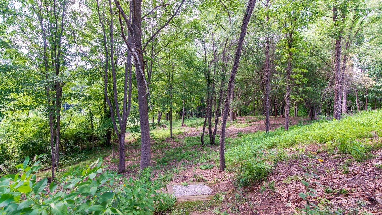 5480 Conway Road Chelsea, MI 48118 - Photo 23 of 98 Photo 23
