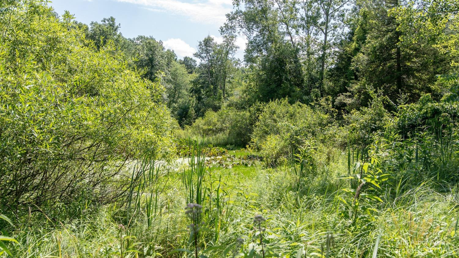 5480 Conway Road Chelsea, MI 48118 - Photo 28 of 98 Photo 28