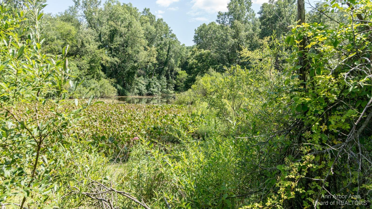 5480 Conway Road Chelsea, MI 48118 - Photo 32 of 98 Photo 32