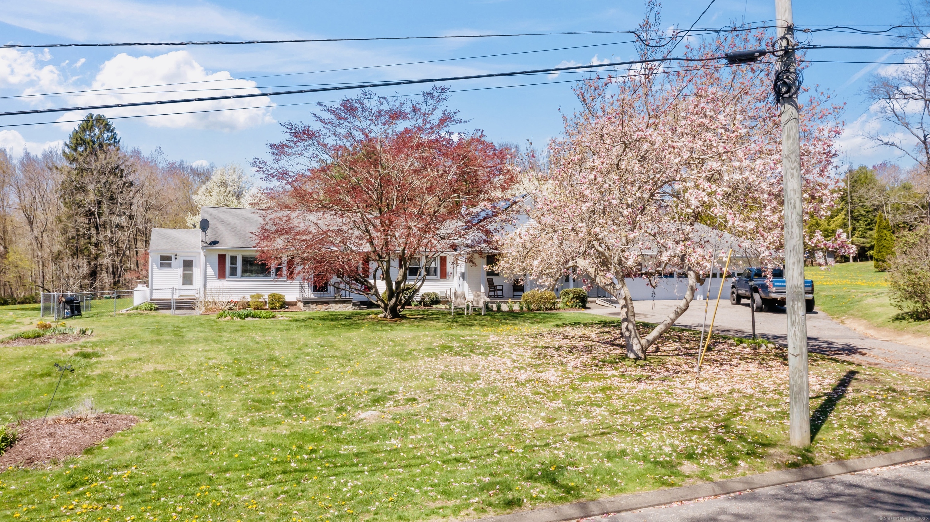 a backyard of a house with large trees and plants