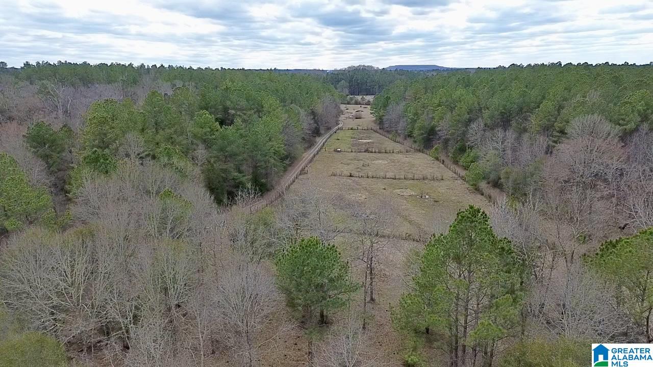 576 Gunlock Street Montevallo, AL 35115 - Photo 7 of 76