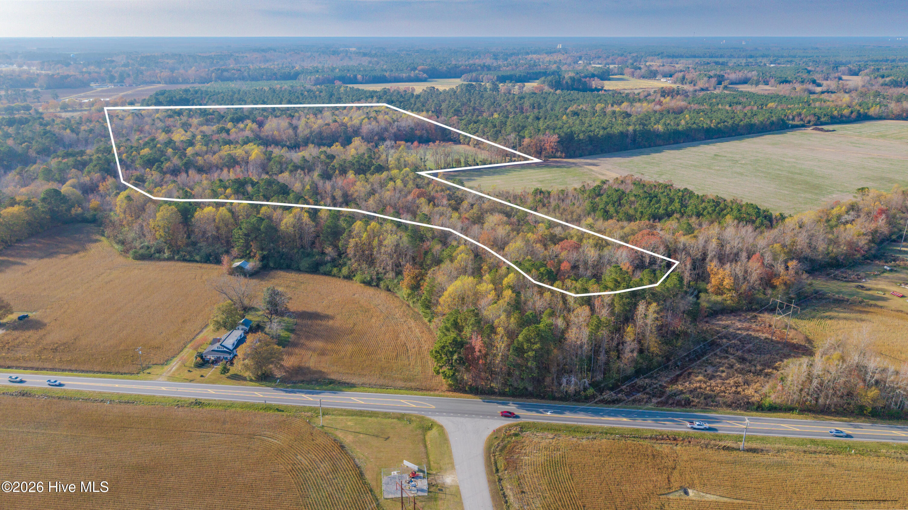 41.5-acres High School Road Teachey, NC 28464 - Photo 4 of 20 Gallery Image 4