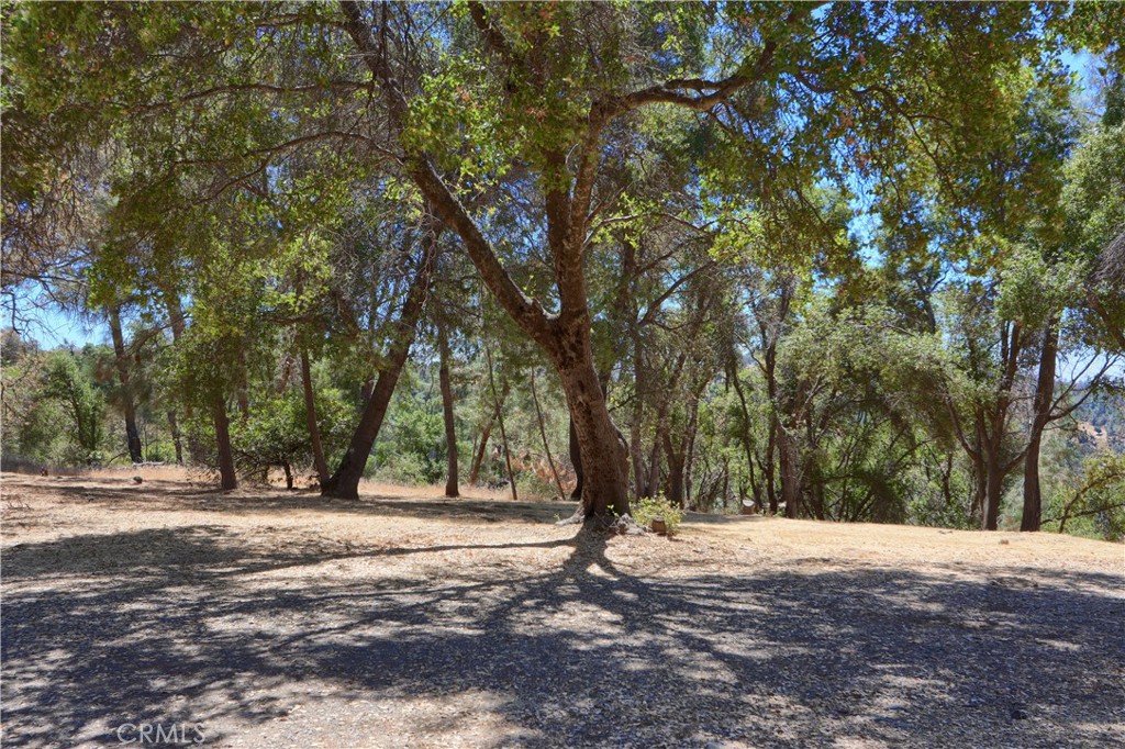 5857 Allred Road Mariposa, CA 95338 - Photo 49 of 62 a view of road space with trees