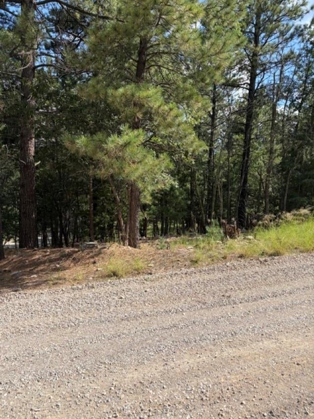 Lariat Road Mayhill, NM 88339 - Photo 2 of 6 Gallery Image 2