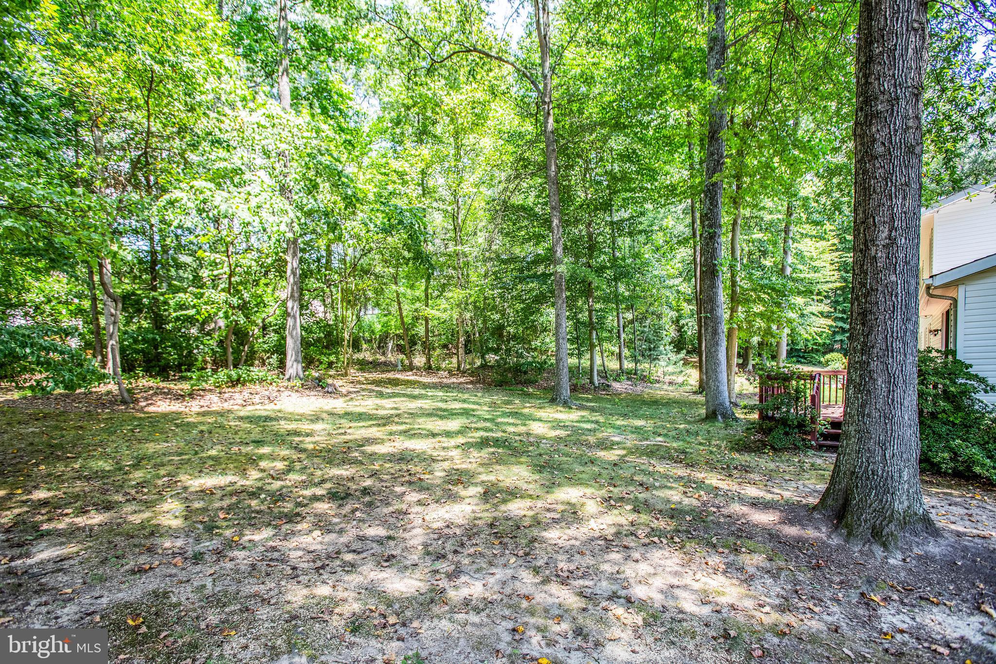 109 Valley View Road Fredericksburg, VA 22407 - Photo 26 of 34 Large wooded lot