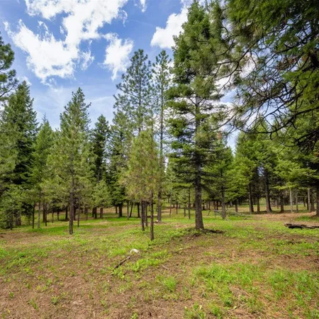$900,000 | Lot 7 To Be Determined, Unit 7, McCall, ID 83638