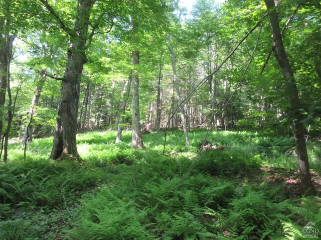 a view of outdoor space and garden