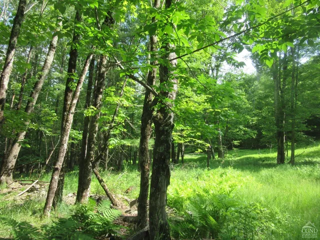 a view of backyard with green space