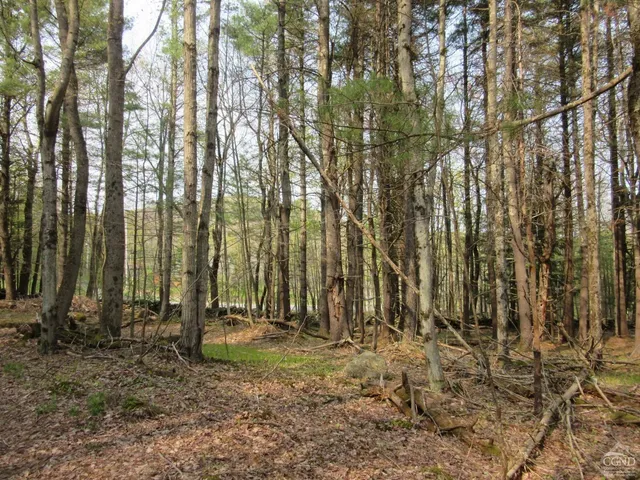 a view of backyard with green space
