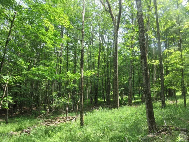 a view of yard with green space