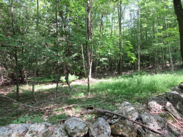a view of yard with green space