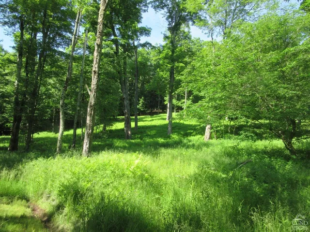 a view of yard with trees