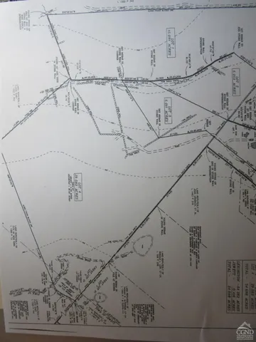 a view of lush green forest