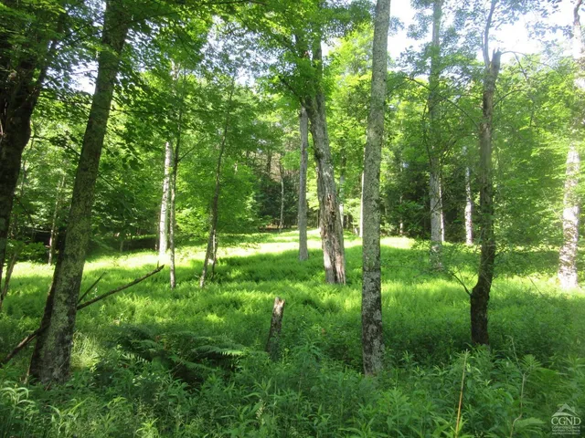 a big yard with lots of green space and deers