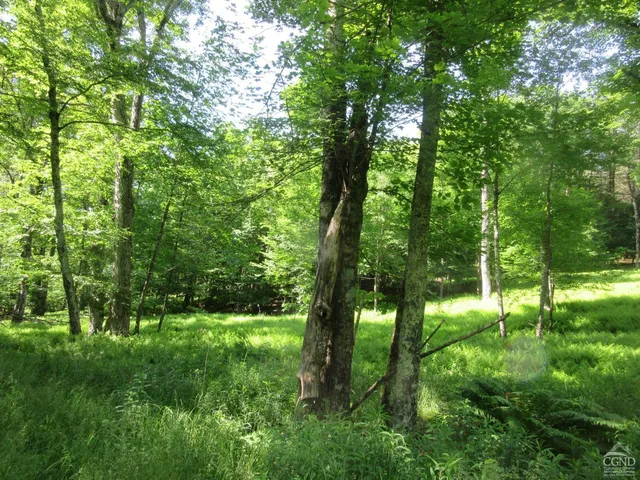 a view of outdoor space and trees