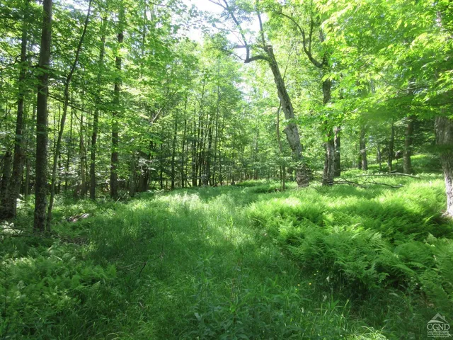 a view of outdoor space and green space