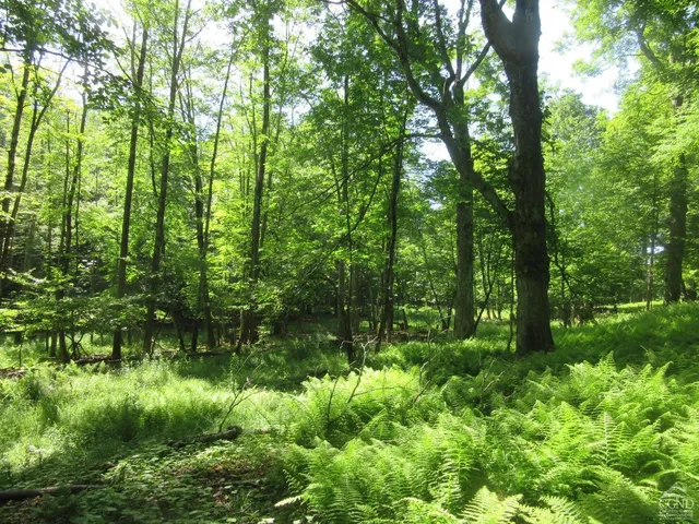 a fire hydrant in the middle of a field