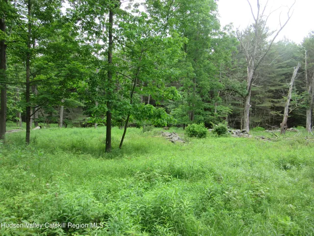 a view of backyard with green space