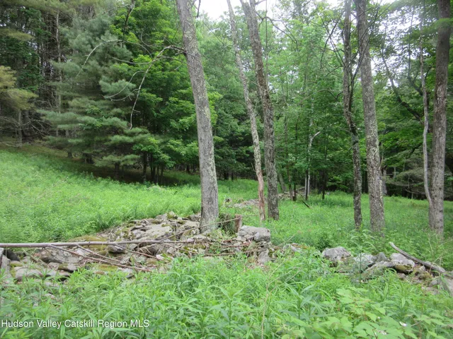 a view of green field with trees in the background