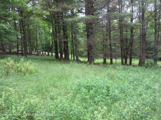a view of outdoor space and yard