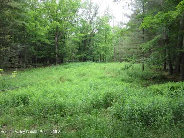 a view of green field