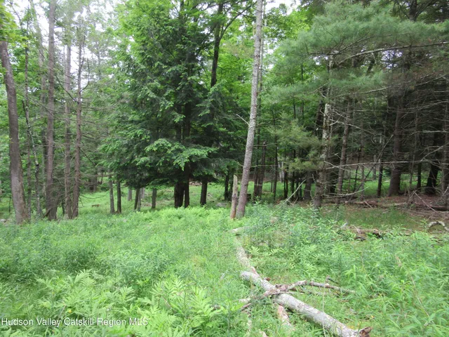 a view of outdoor space and green space