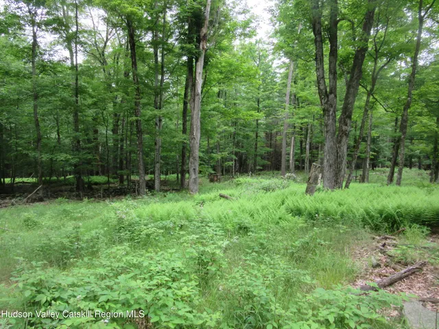 $250,000 | 0 Route 23c Ny 12452, Prattsville, NY 12468